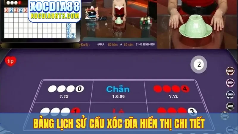 Bảng lịch sử cầu xóc đĩa hiển thị chi tiết