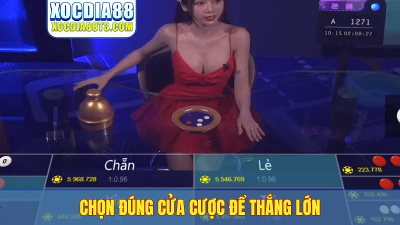 Chọn đúng cửa cược để thắng lớn