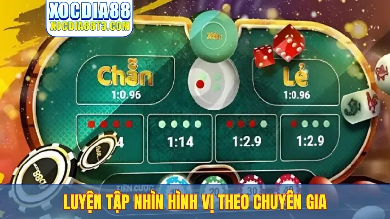 Luyện tập nhìn hình vị theo chuyên gia