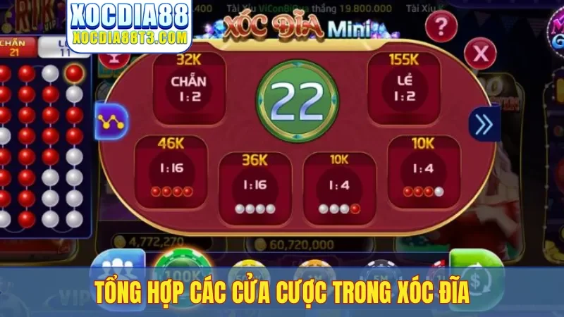 Tổng hợp các cửa cược trong xóc đĩa