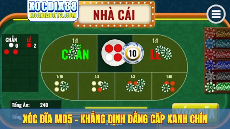 Xóc đĩa MD5